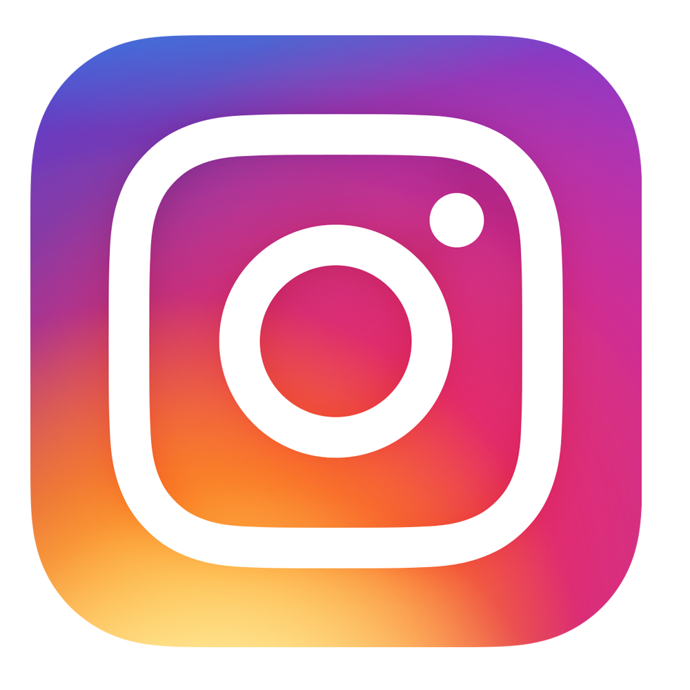 Logo insta